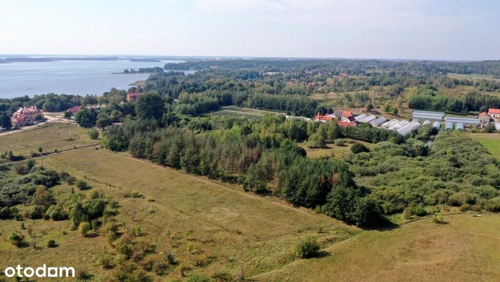Działka bud Ogonki gm Węgorzewo - Widok 4