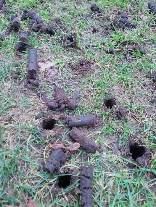 Aerator ręczny typu rurkowy