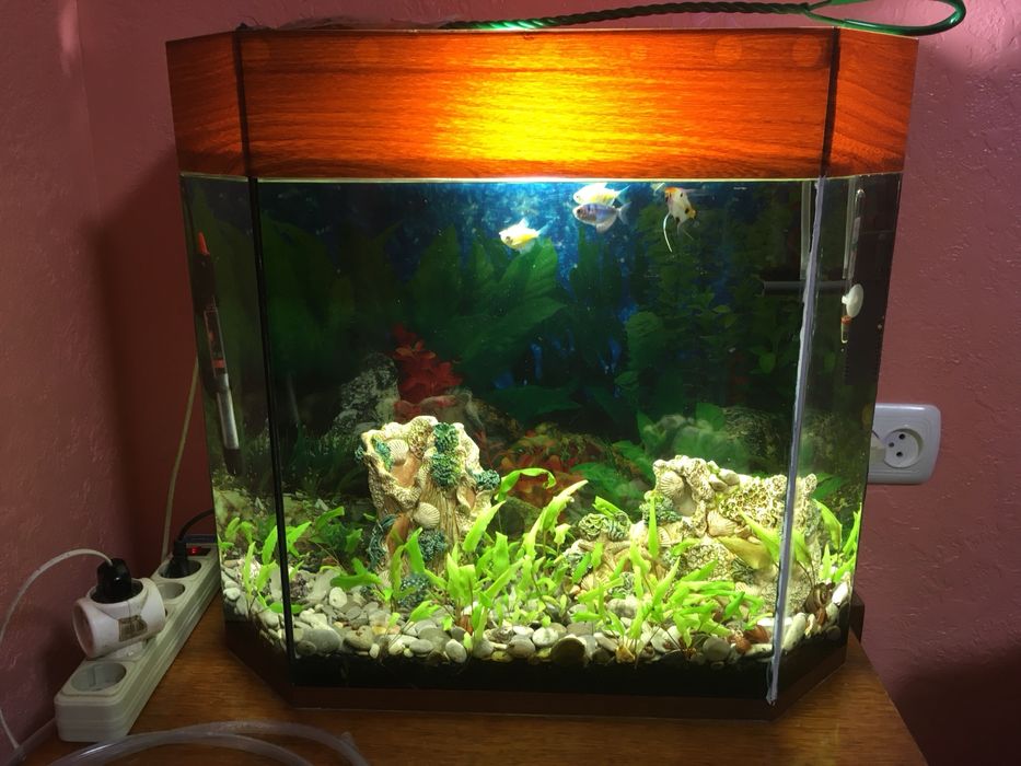 Продам акваріум повний комплект
