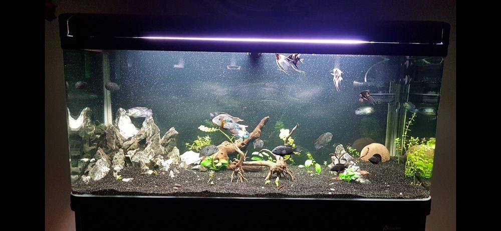 Akwarium 350l zaokrąglone rogi