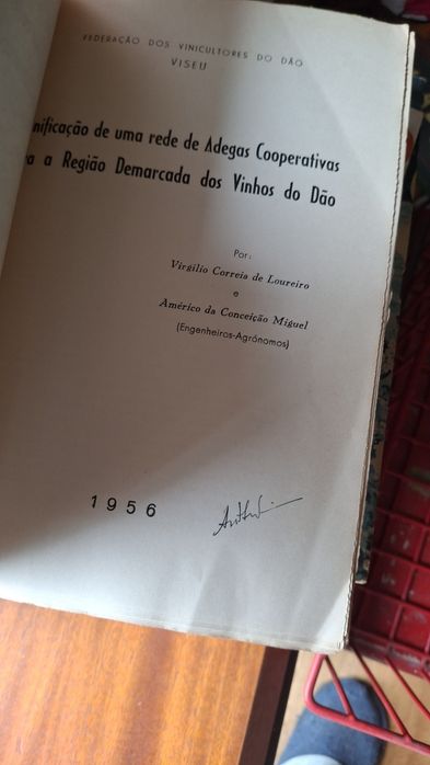 Planificação rede Adegas região demarcada vinhos Dão viseu