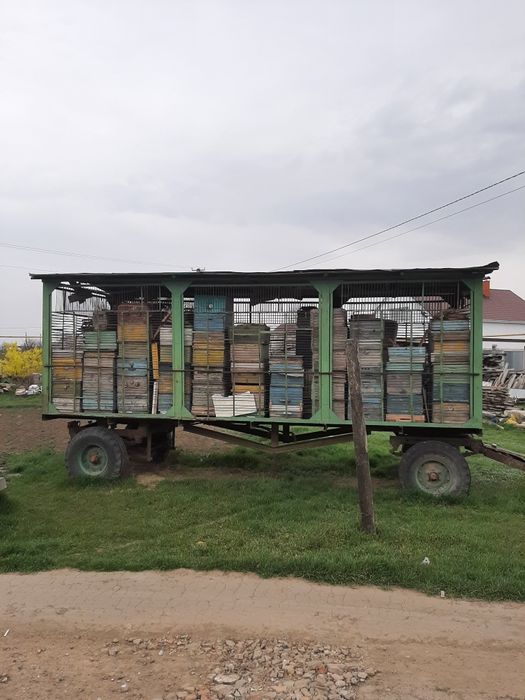 Пасіка на колесах.