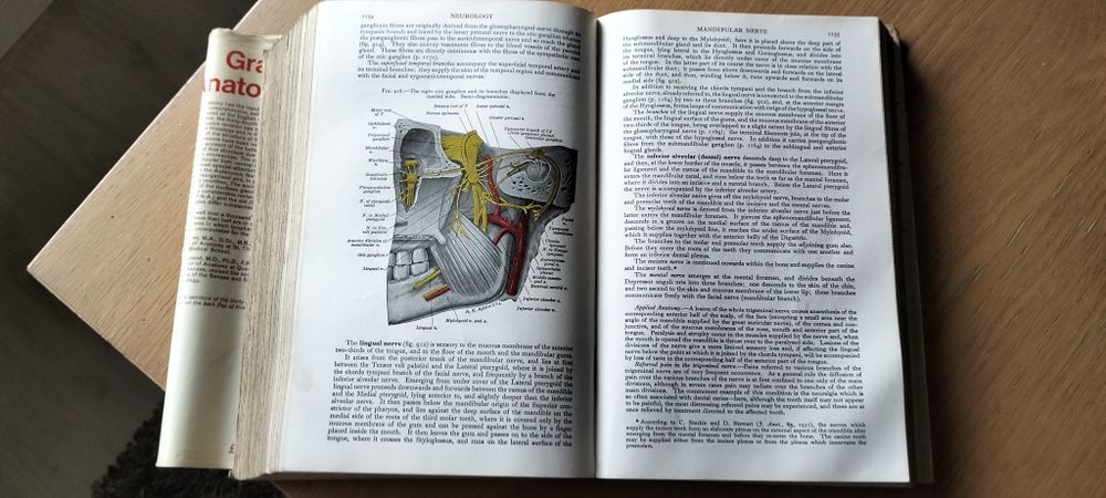 Gray’s Anatomy – 34ª Edição (Descriptive and Applied)

Vendo livro clássico de anatomia humana, Gray’s Anatomy, 34ª edição, editado por

Vendo livro c