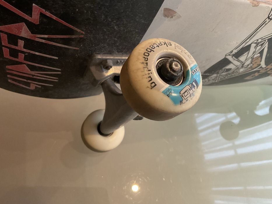 Skate globe premium