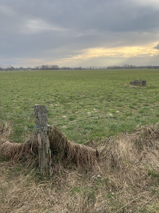 Działki na sprzedaż Myszyniec Wolkowe