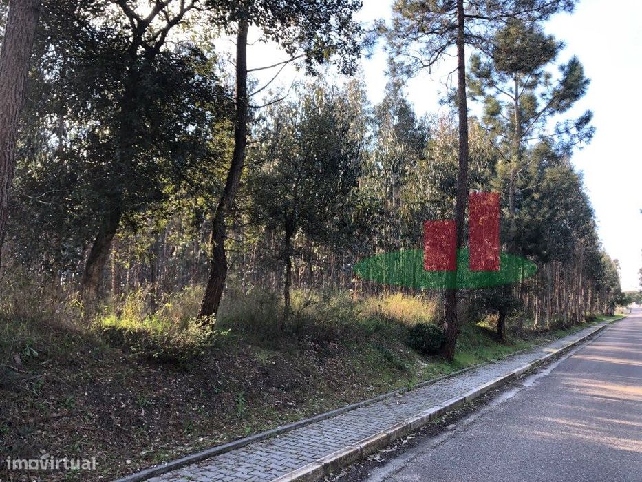 Terrenos com Viabilidade Construtiva em Asseiceira - Rio Maior***RI...