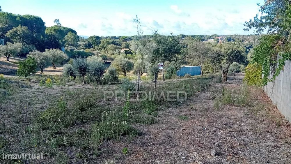 Plot for Construction in Seiça