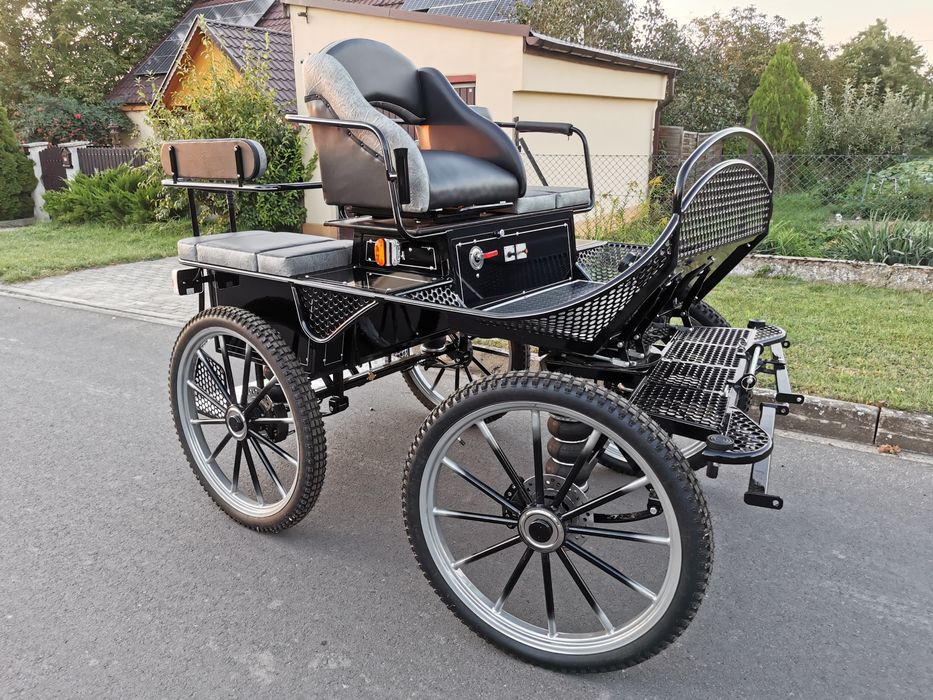 Bryczka maraton trening