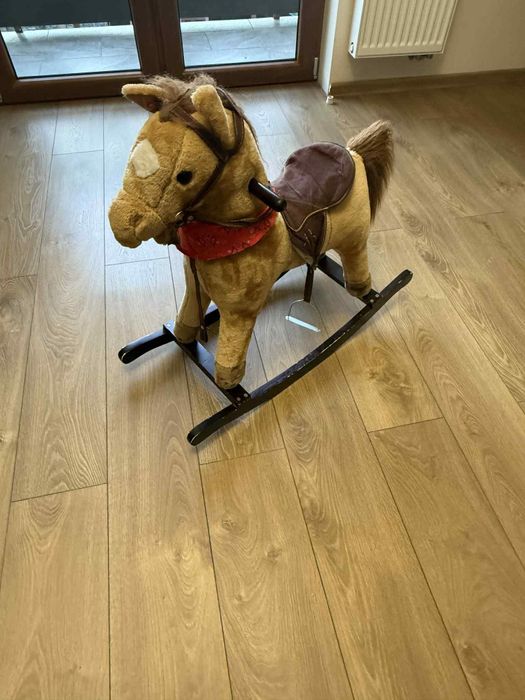 konik na biegunach