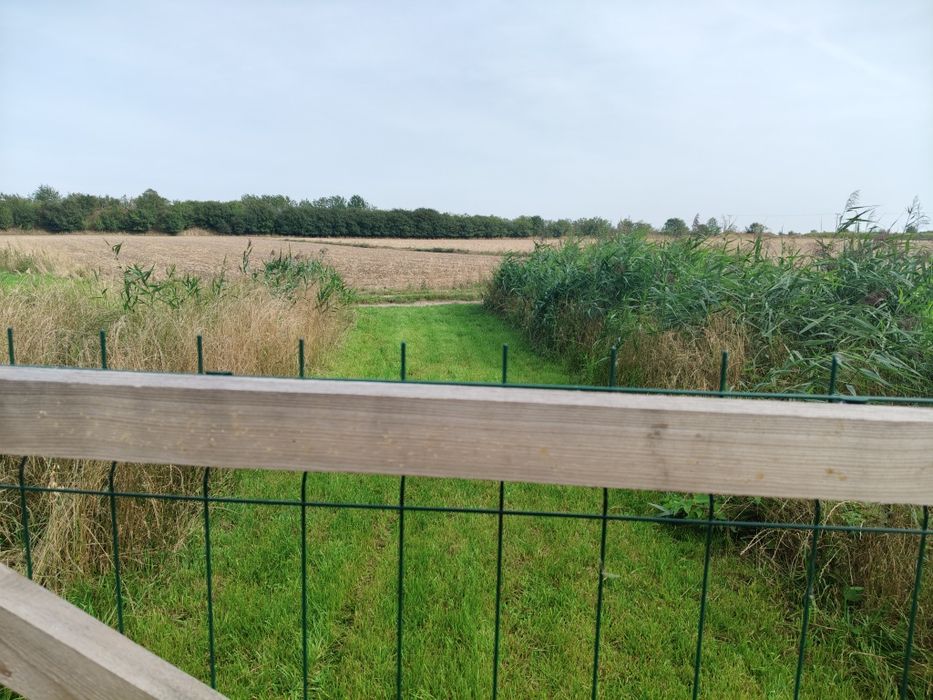 Działka rolna 3000m2 że stawkiem i domkiem pod rekreację