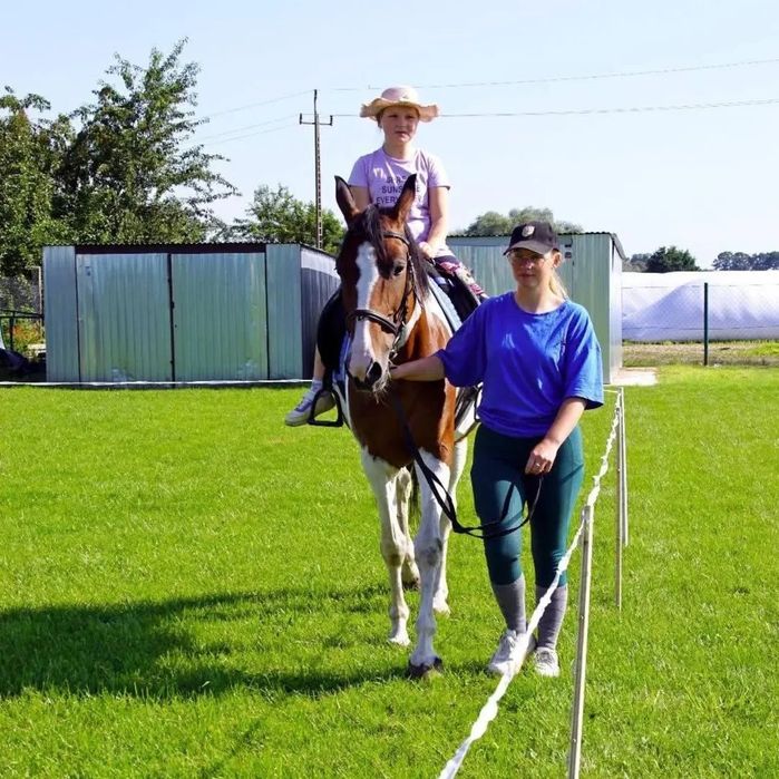 Sprzedam klacz sport/rekreacja/Hipoterapia