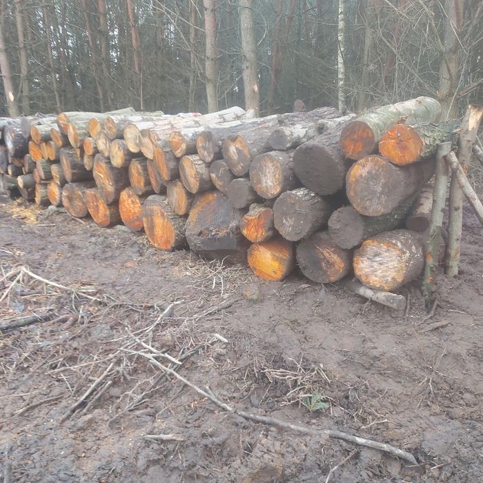 Drewno kominkowe, DĄB,OLCHA,BRZOZA OKAZJA!