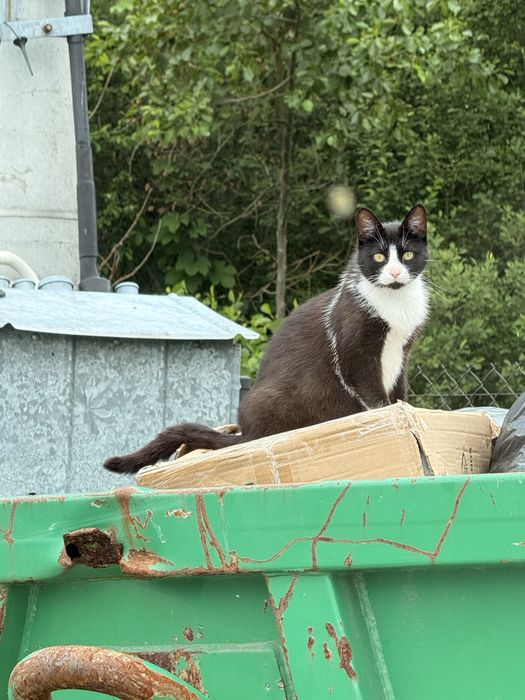 Nie pozwol aby wrocila na oczyszczalnie sciieków
