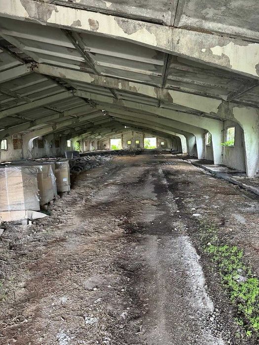 Ферма, господарські будівлі та споруди