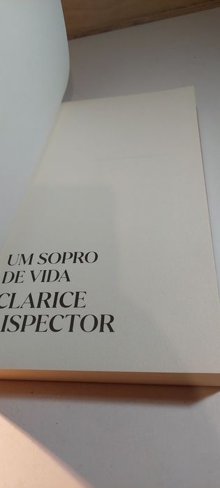 Um Sopro de Vida - Clarice Lispector