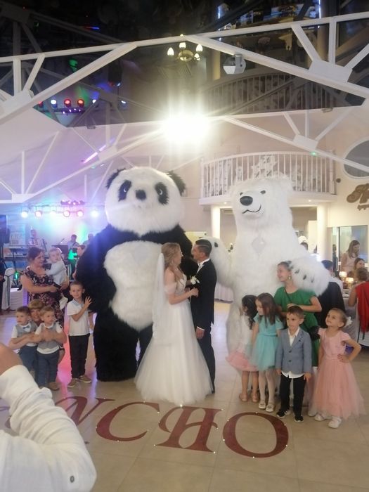 Білий ведмідь велетень.Привітання від мішки.Аніматор білий ведмедик