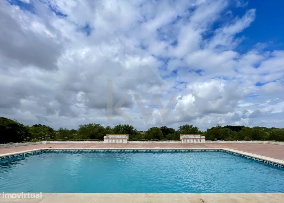 Herdade no coração do Alentejo de 307 hectares, com produção vinícola,