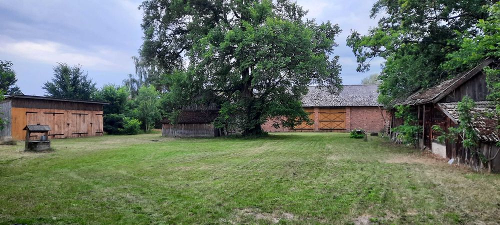 Urokliwe siedlisko z duszą 3200m2| Dom, drewniana obora z bali, stodoła i łąka 0,48ha | Kopytnik (powiat bialski)