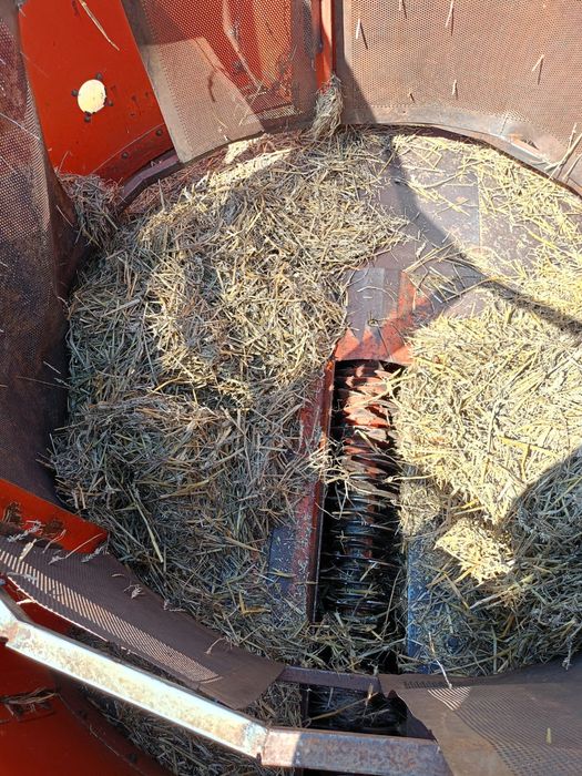 Ścielarka do truskawek