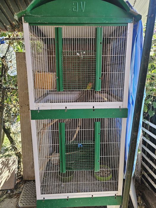 Gaiolas com casal reprodutor