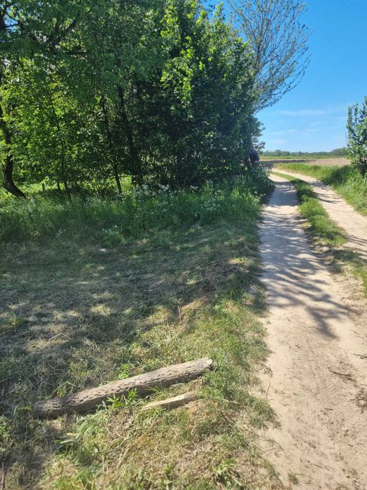 Roztocze Zachodnie Działka Komodzianka Góry - Widok 4