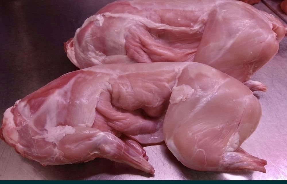 Sprzedam Tuszki z Królika