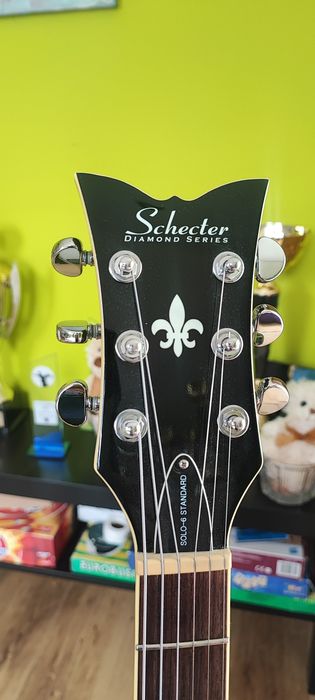 Profesjonalna Gitara Elektryczna