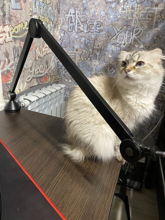 Мікрофон HyperX SoloCast ( з пантографом)