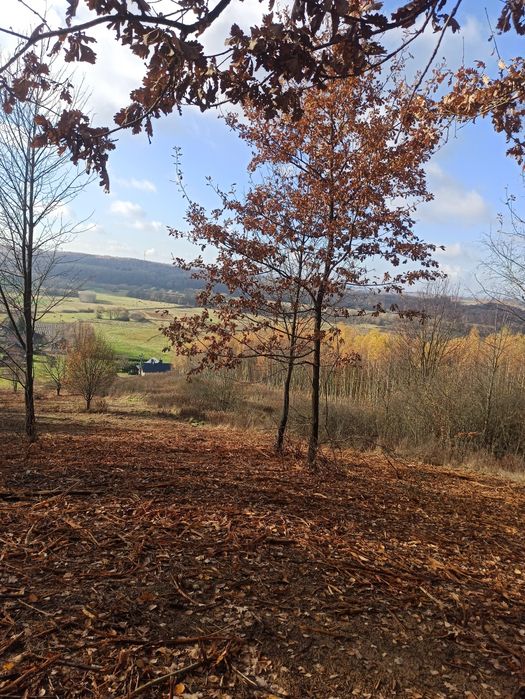 Działka  z wydanymi warunkami zabudowy