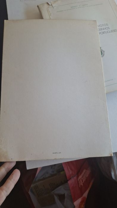 Graça Morais programa exposição belas artes 1980