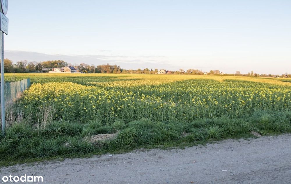 Działka budowlana 1 138 m2 w spokojnej i pięknej okolicy