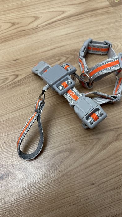 Regulowany Szelki i Smycz dla Psa