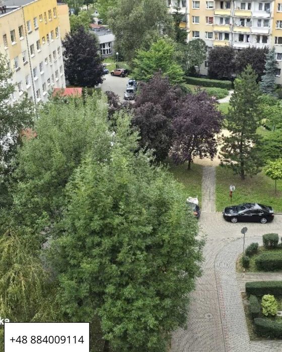 Zdjęcie 8