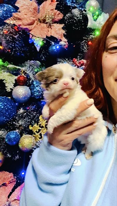 Мальчишечка супер мини