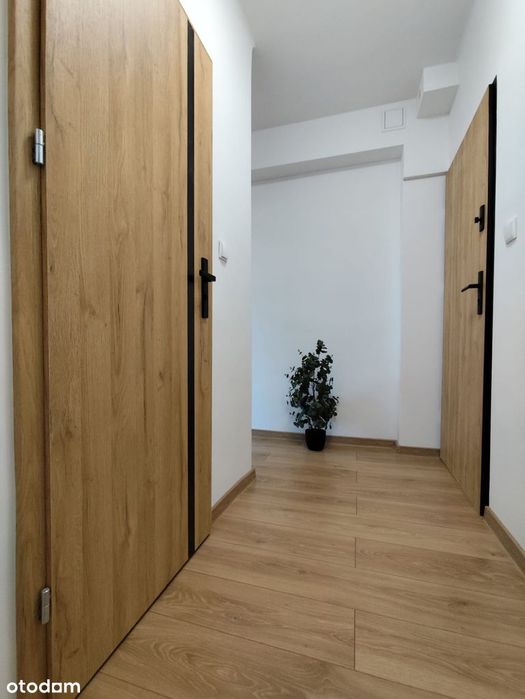Mieszkanie/lokal na sprzedaż, Nysa ul. Moniuszki