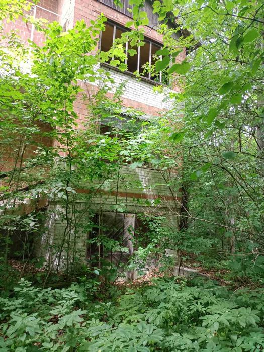 Продаж земельної ділянки в с. Загвіздя, СТ «Берізка»