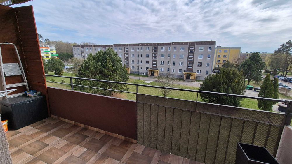 Zdjęcie 8