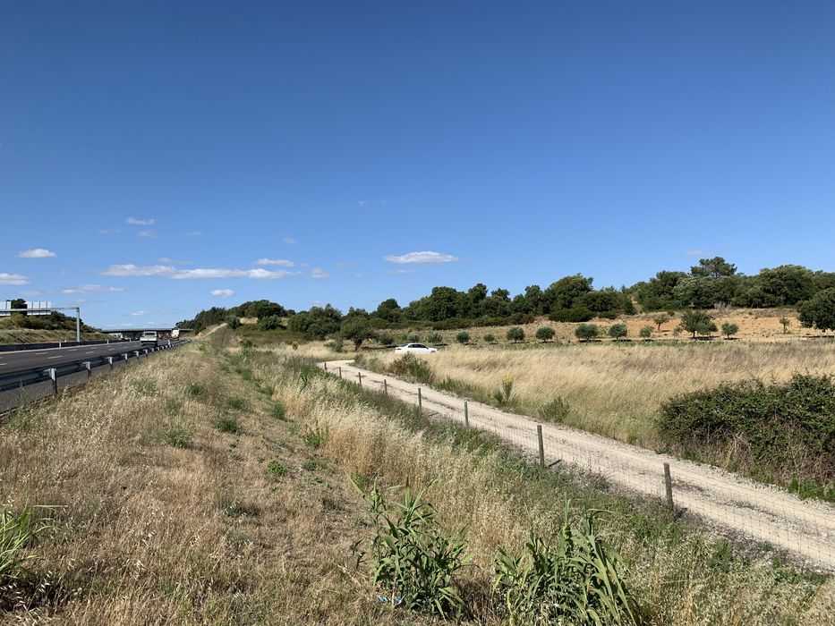 Terreno - Cartaxo (junto à A1)