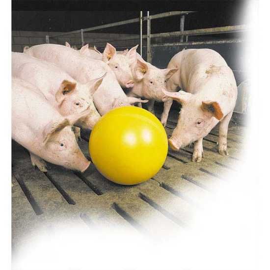 Piłka zabawka antystresowa KERBL Ø 30 dla prosiąt , świń