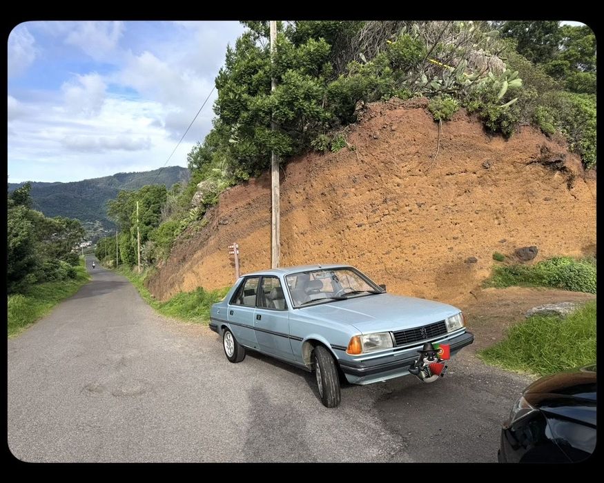 Peugeot 305
