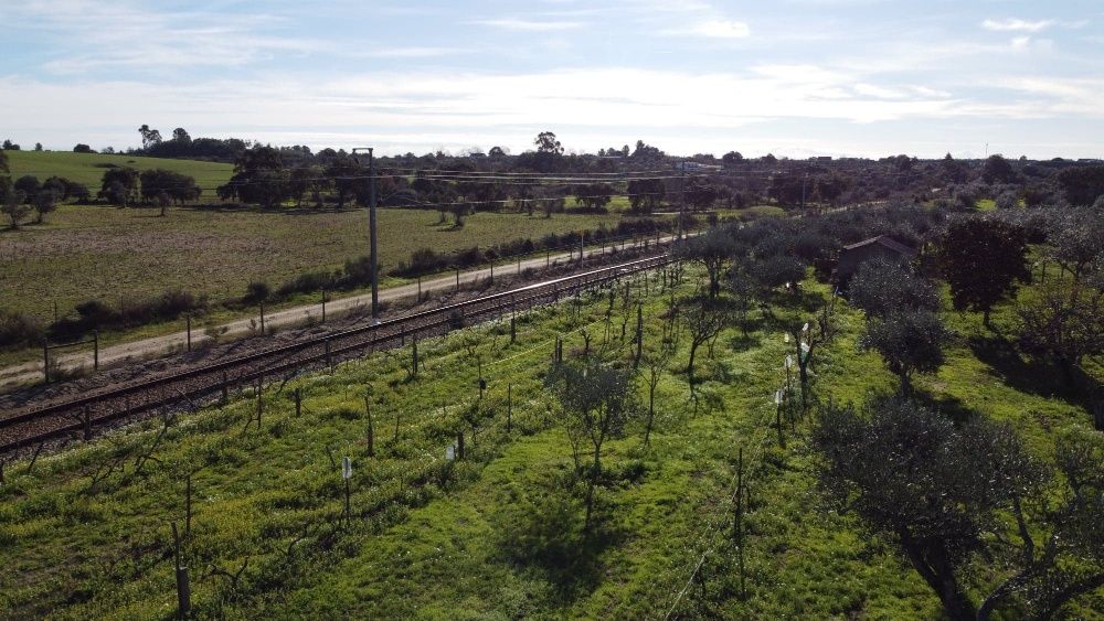 Vende-se quinta na Lardosa, local Ribeirinha.