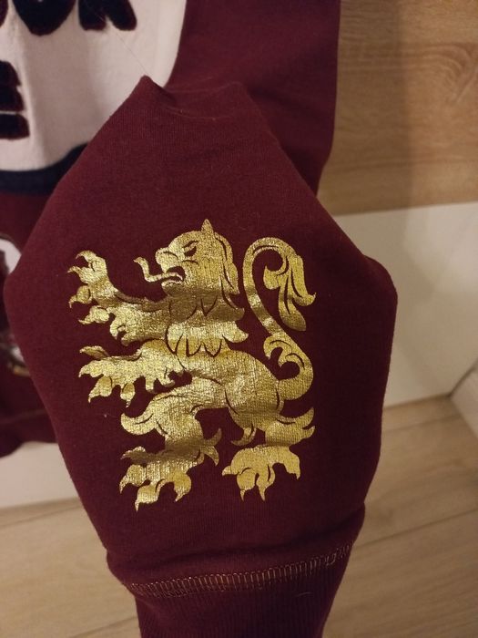 Bluza Gryffindor