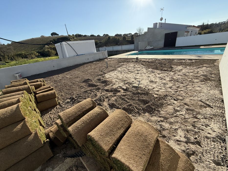 Relva natural em tapete