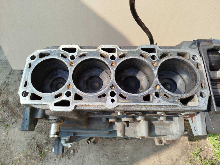 Двигун (мотор) Opel Astra H. Zafira B - 1.9CDTI (Z19DTH)