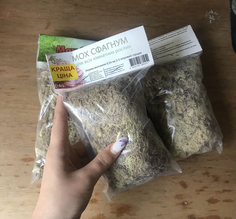 Мох сфагнум