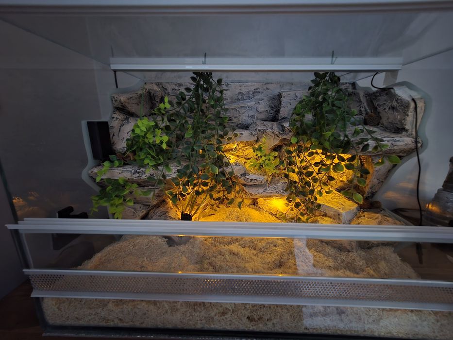 Sprzedam terrarium