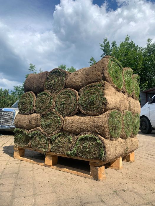 Trawa z rolki, trawa z siewu, zakładanie trawnika, renowacja trawnika