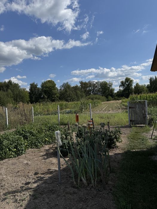Продам будинок в селі Бакланова Муравейка поруч ЖД станція
