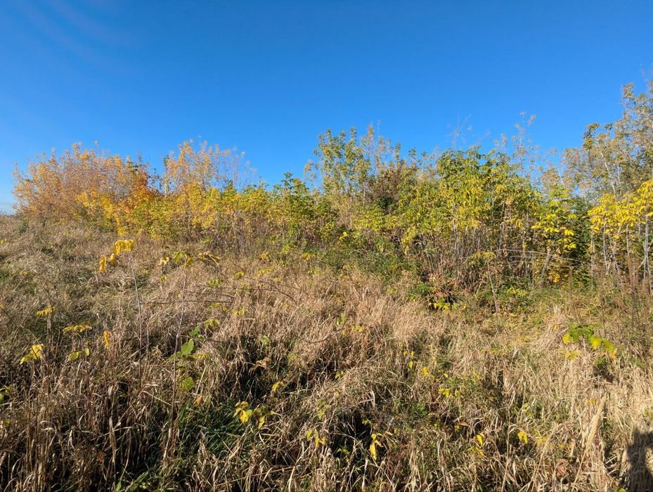 Продаж земельної ділянки