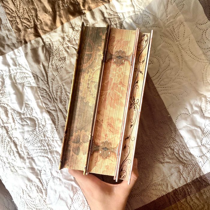 Комплет "Книжкові хронікі" / "Кримінальна справа з валізою" / "Світ Анімант" - Лінь Ріна